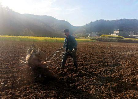 梨树楼房出租最新信息及市场概况与租赁策略概览