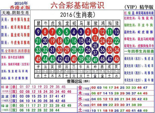 最新十二生肖马表图，揭示马的文化象征意义