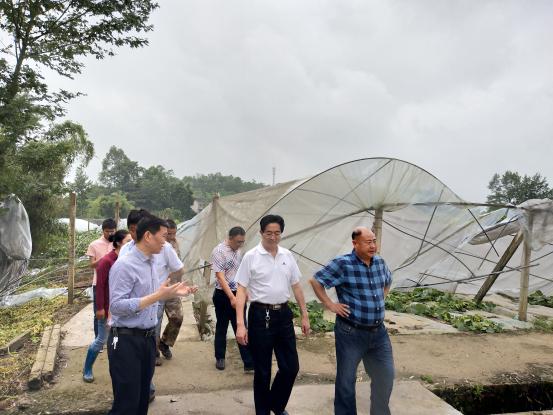 垫江县领导班子最新构建与发展概况