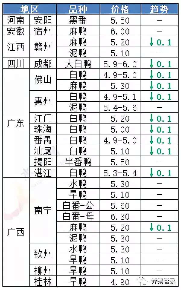 毛鹅价格最新行情解析