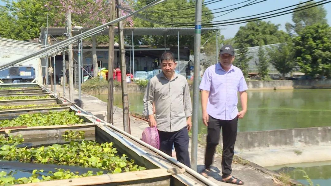 水鱼村委会发展规划概览，迈向未来的蓝图