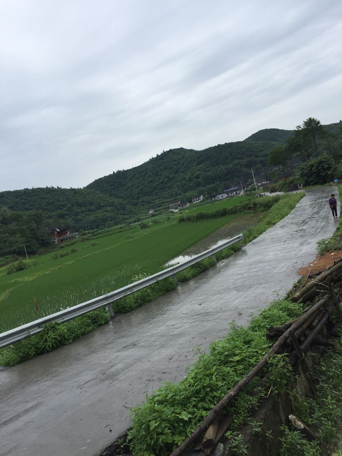 甘沟口村委会天气预报更新通知