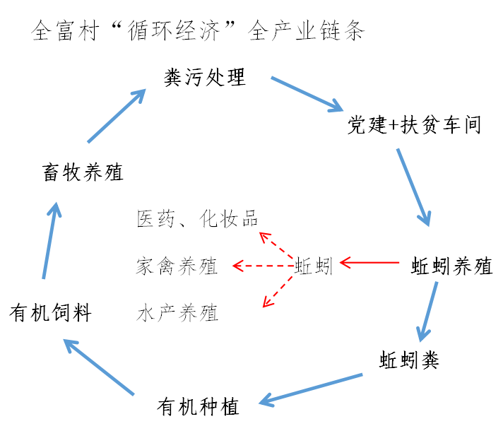 克山县教育局最新发展规划概览