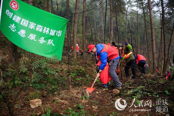 北碚区发展和改革局最新动态报道