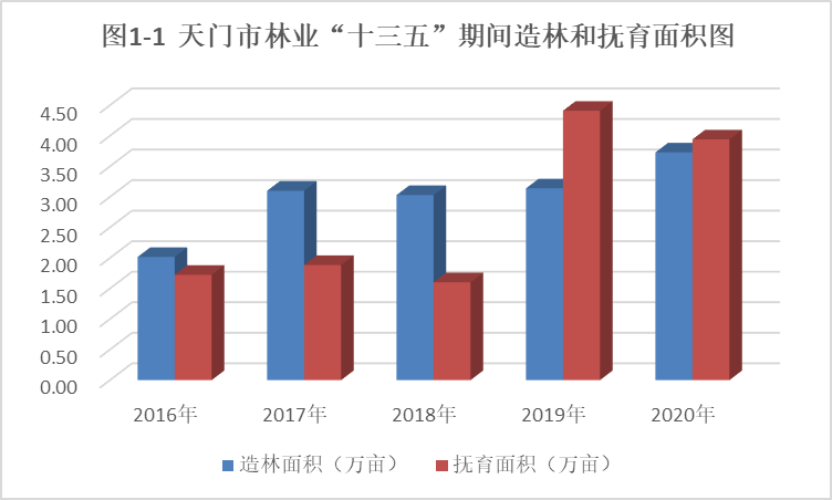 天门市民政局最新发展规划概览