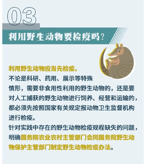 瀍河回族区防疫检疫站最新招聘概述，岗位与要求一网打尽