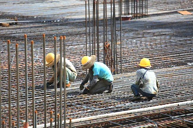 城西区图书馆最新动态报道