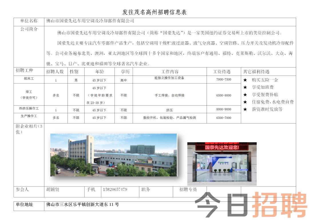 高州市科技局最新招聘信息详解