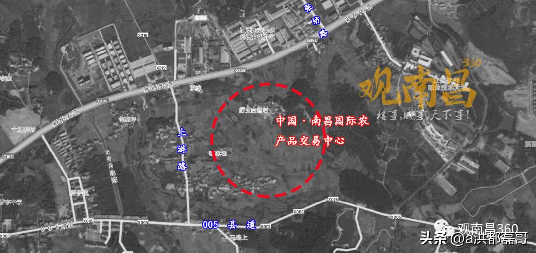 张坊乡现代化交通网络构建最新进展新闻速递