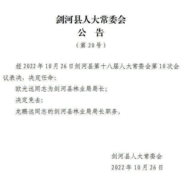 调河头乡人事任命动态，新领导层的产生及其深远影响