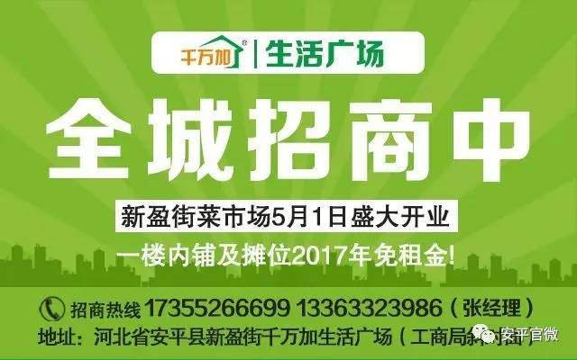 凤台县人力资源和社会保障局最新招聘全解析