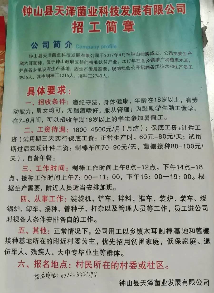 国营第一良种最新招聘动态及分析简报